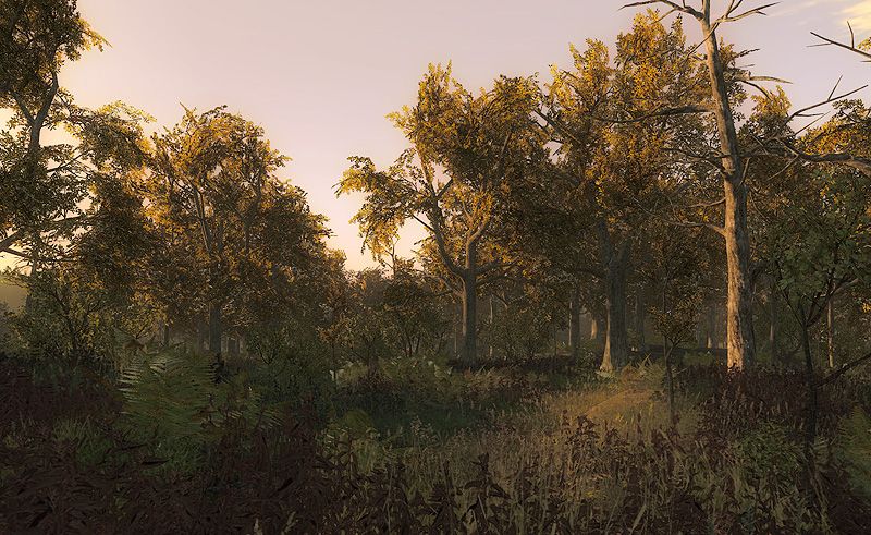 http://news.thehunter.com/wp-content/uploads/2013/11/swamp_reserve_05.jpg