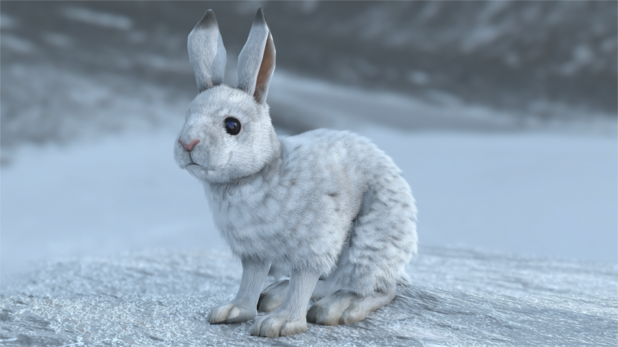 http://news.thehunter.com/wp-content/uploads/2015/09/snowshoe_hare.png