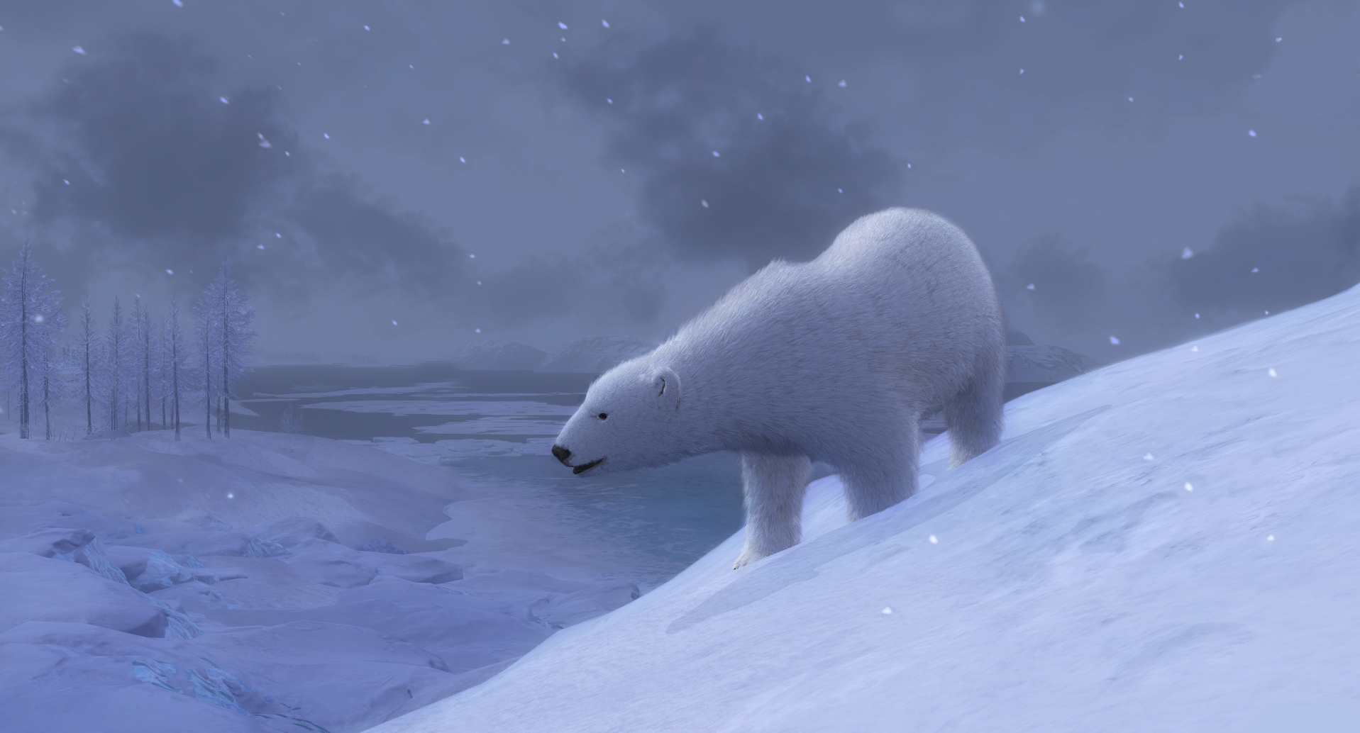 http://news.thehunter.com/wp-content/uploads/2016/02/polar_bear_03.jpg