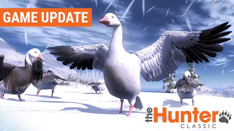 THC_game_updates_snow_goose